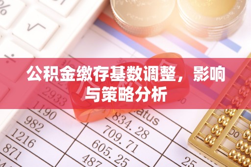 察雅公积金缴存基数调整，影响与策略分析