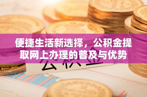 察雅便捷生活新选择，公积金提取网上办理的普及与优势