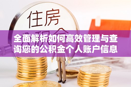 察雅全面解析如何高效管理与查询您的公积金个人账户信息