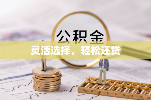 察雅灵活选择，轻松还贷