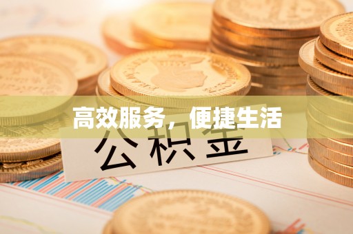 察雅高效服务，便捷生活