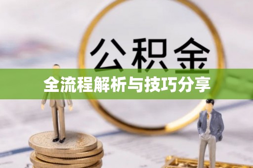 察雅全流程解析与技巧分享