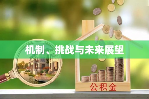 察雅机制、挑战与未来展望